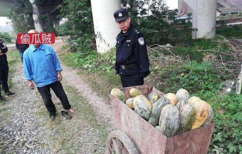 汝南吃瓜事件真相视频大全,揭秘真相背后的视频大全