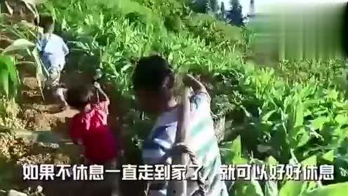 汝南吃瓜事件真相视频大全,揭秘真相背后的视频大全