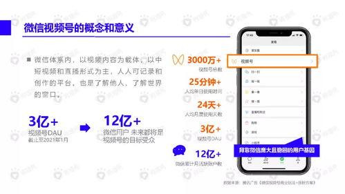 小呆瓜吃南瓜视频大全下载,视频大全下载攻略