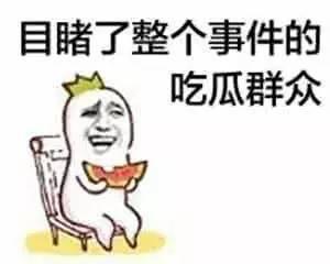吃瓜群众撒谎被骗视频真实,一场撒谎视频引发的真相大揭秘