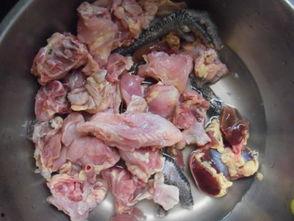 坏瓜能切给鸡吃吗视频,揭秘鸡饲料中的秘密食材