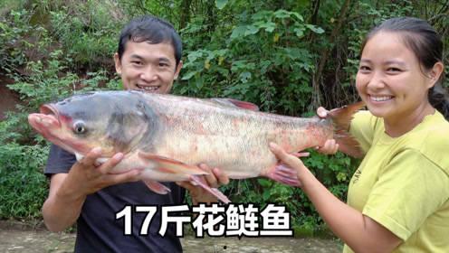 刘大瓜吃十斤甲鱼视频,吃出健康与美味新高度