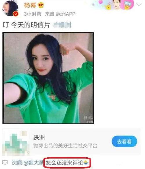 八卦吃瓜明星是谁啊视频,揭秘“根据八卦吃瓜明星是谁啊”视频背后的真相