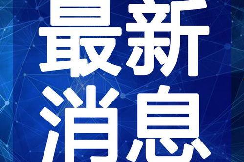 吃瓜谣言下场视频大全最新,视频大全背后的真相与反思
