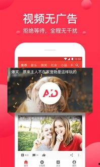 泰国媒体吃瓜视频网站下载,揭秘娱乐圈幕后故事