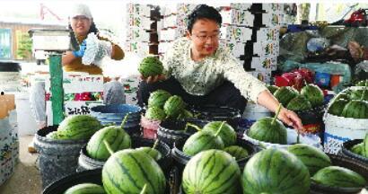 山东潍坊两干部视频吃瓜,潍坊两干部视频吃瓜引发热议