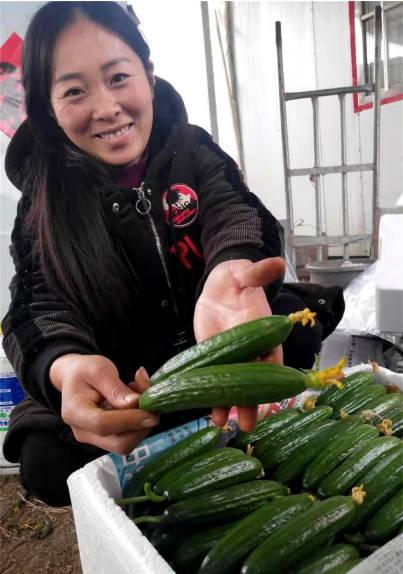 山东潍坊两干部视频吃瓜,潍坊两干部视频吃瓜引发热议