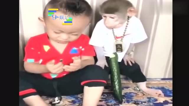 吃瓜搞笑合集大全视频,笑出腹肌的欢乐瞬间