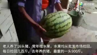 吃瓜视频最新,揭秘娱乐圈最新热点事件，带你领略明星幕后故事