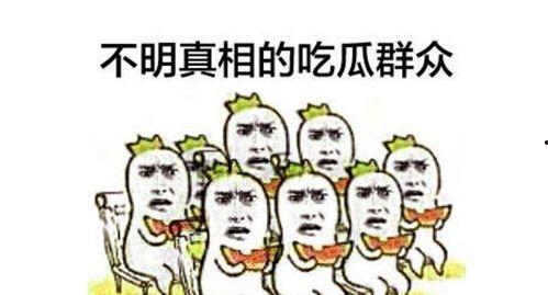 吃瓜群众唠嗑视频,揭秘热门视频背后的幕后故事