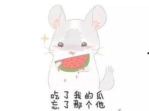 吃瓜群众一头雾水视频,揭秘视频背后的真相与谜团