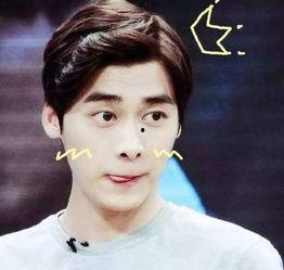 李易峰吃瓜日记视频全集,揭秘娱乐圈幕后故事