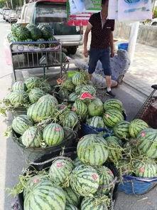 井陉吃瓜事件视频最新