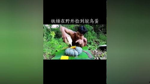 吃瓜视频野外生存,吃瓜视频带你探索生存奥秘