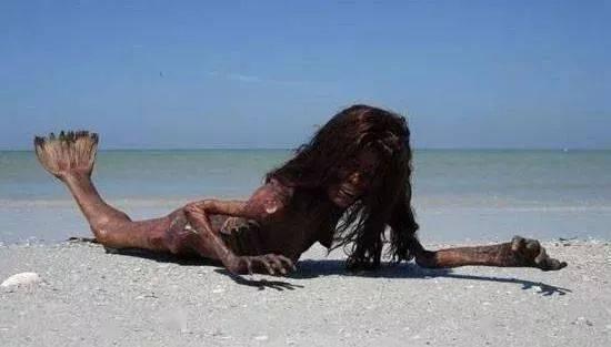 上海美人鱼吃瓜事件视频,网络热议的神秘视频揭秘