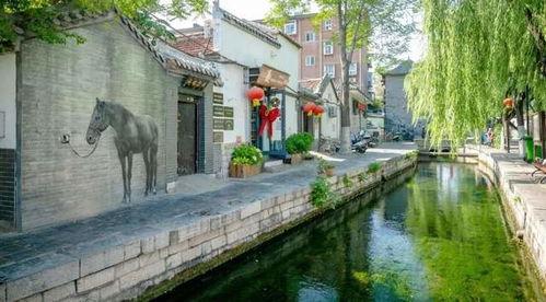 济南小网红吃瓜事件视频,揭秘网络舆论的风暴中心