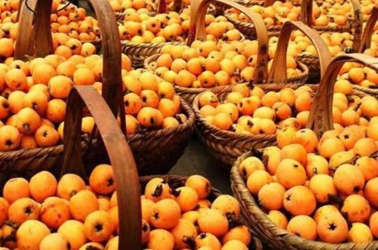 枇杷视频吃瓜专区,吃瓜专区，带你领略热门话题的趣味瞬间