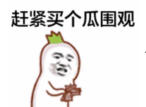 一位匿名的吃瓜群众视频,视频背后的惊人真相