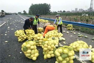 河南汝州吃瓜事件视频,一场引发热议的街头冲突瞬间