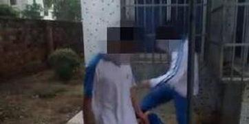小学生打架吃瓜视频播放,小学生打架吃瓜视频引发热议